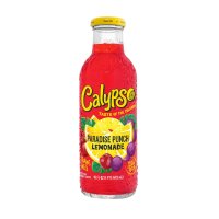 Calypso - Paradise Punch Lemonade - 473ml [USA]